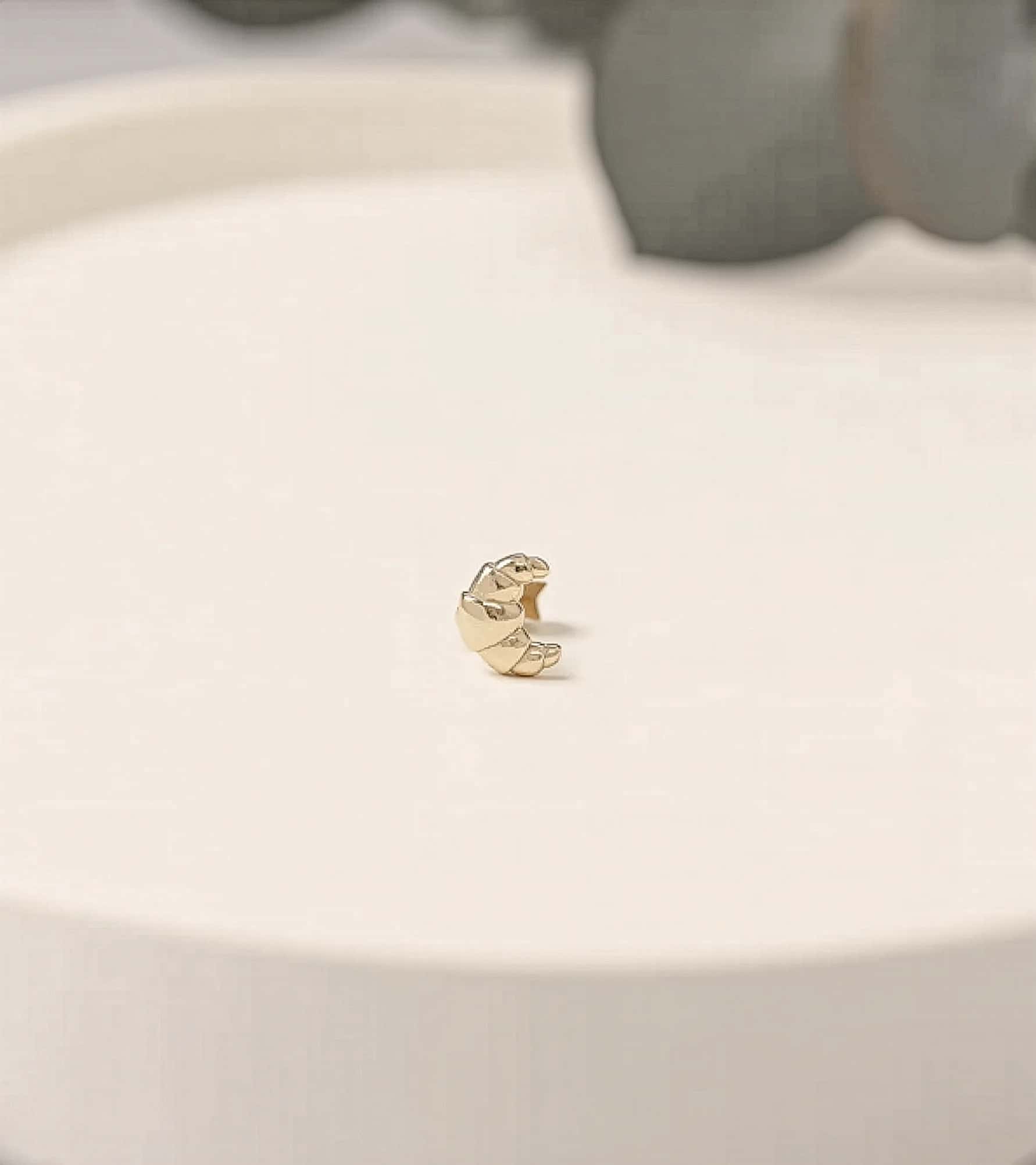 Kruvasan Piercing (Tragus) görseli 3