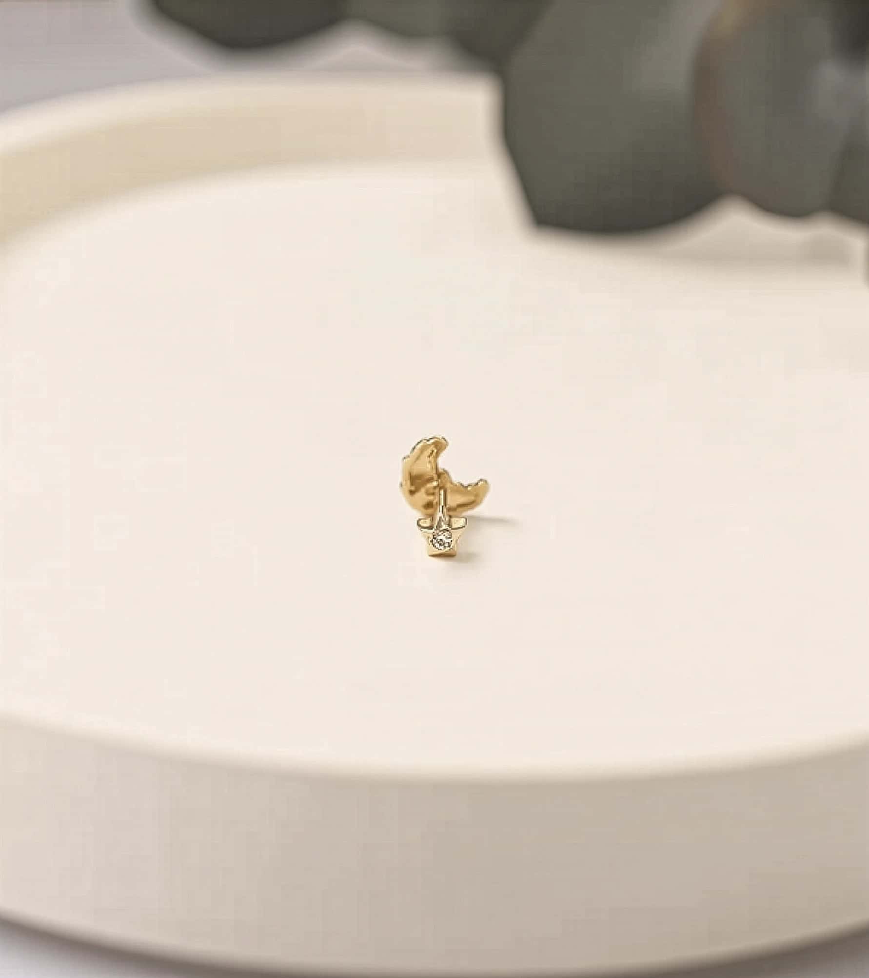 Kruvasan Piercing (Tragus) görseli 4