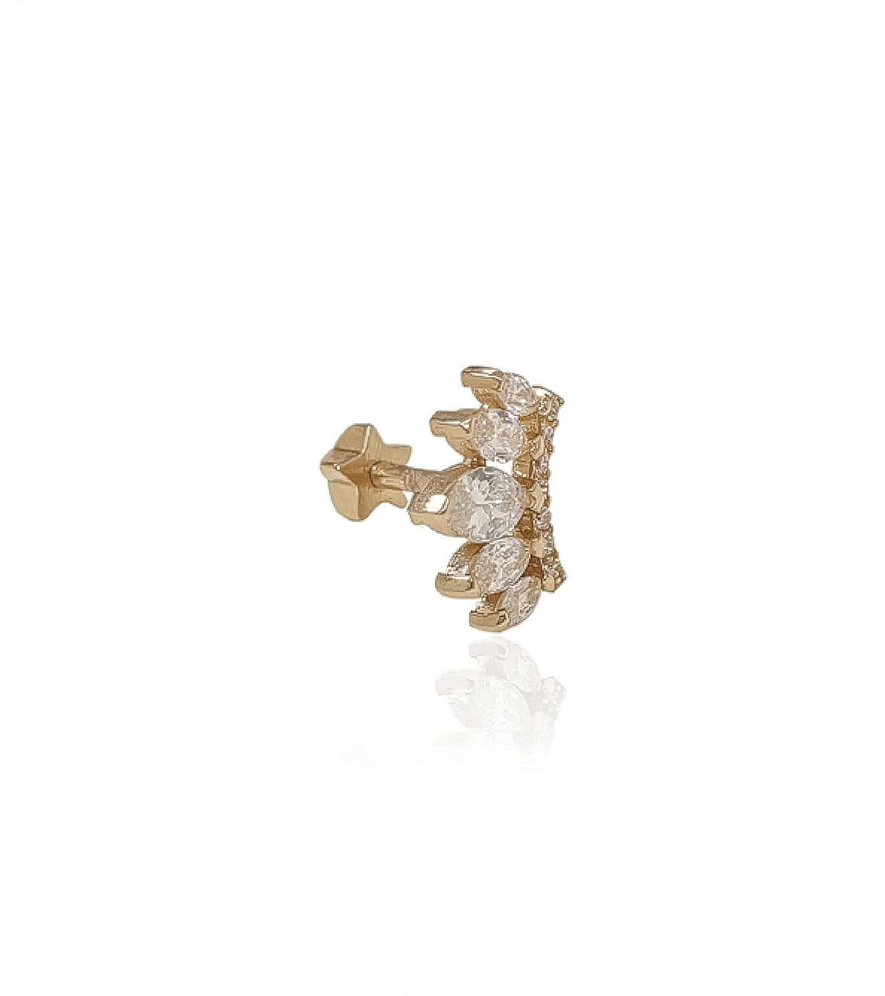 Taç Piercing (Tragus) görseli 1