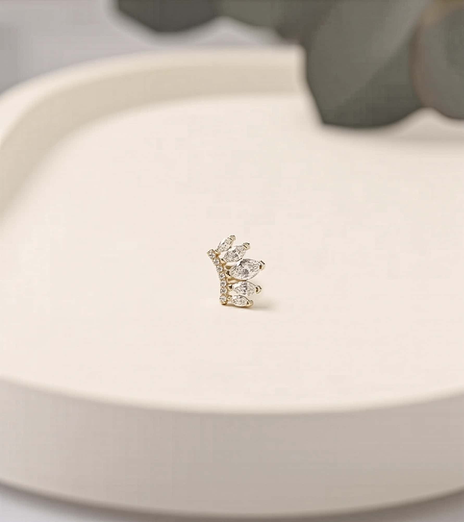 Taç Piercing (Tragus) görseli 3