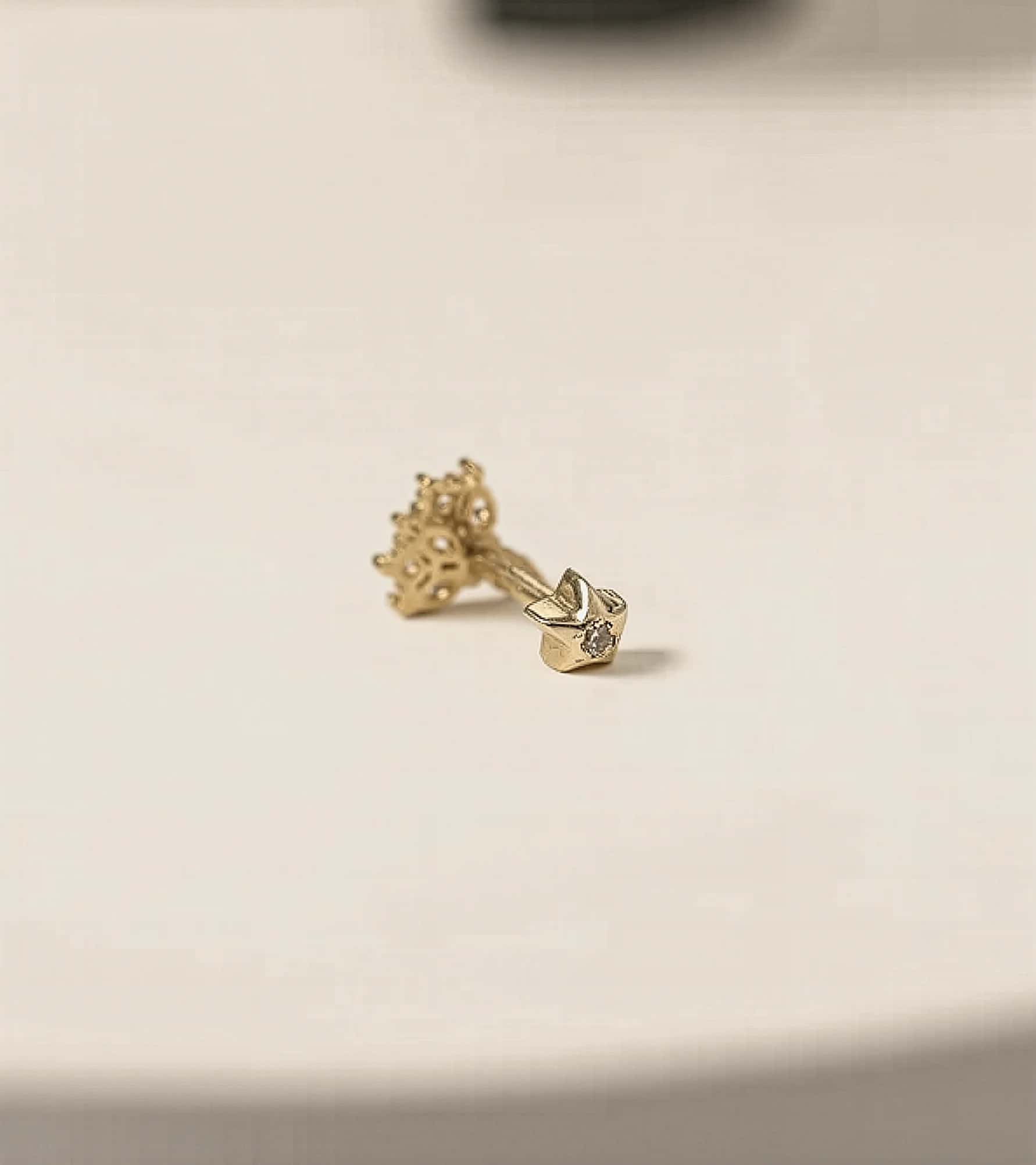 Buket Piercing (Tragus) görseli 4