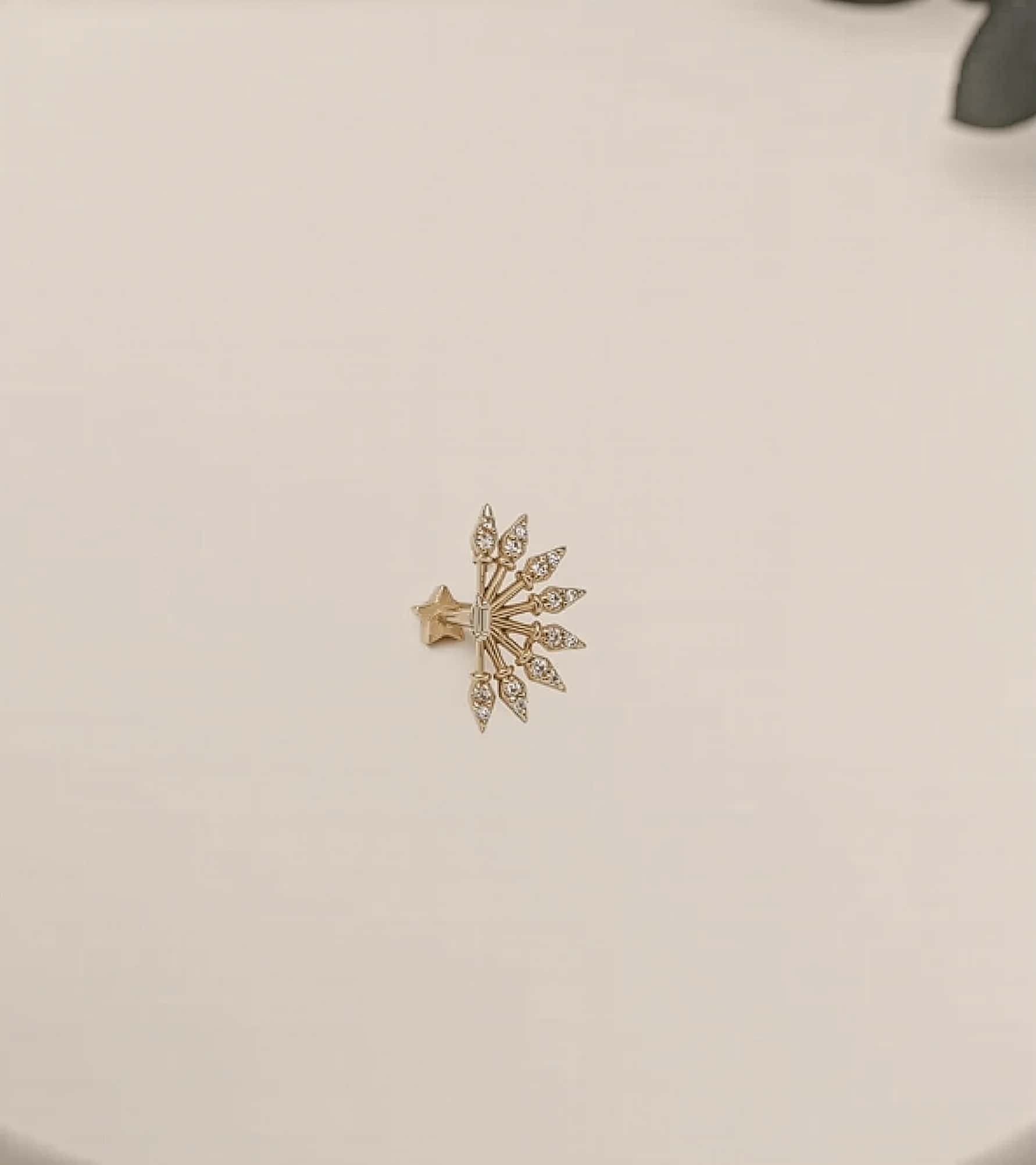 Taşlı Yelpaze Piercing (Tragus) görseli 3