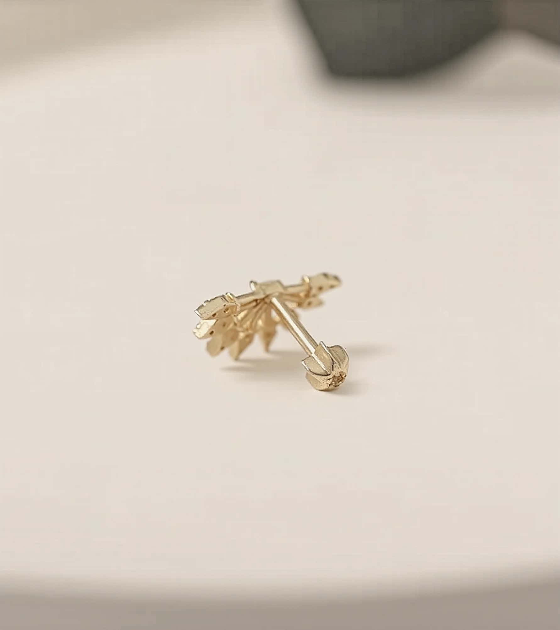 Taşlı Yelpaze Piercing (Tragus) görseli 4