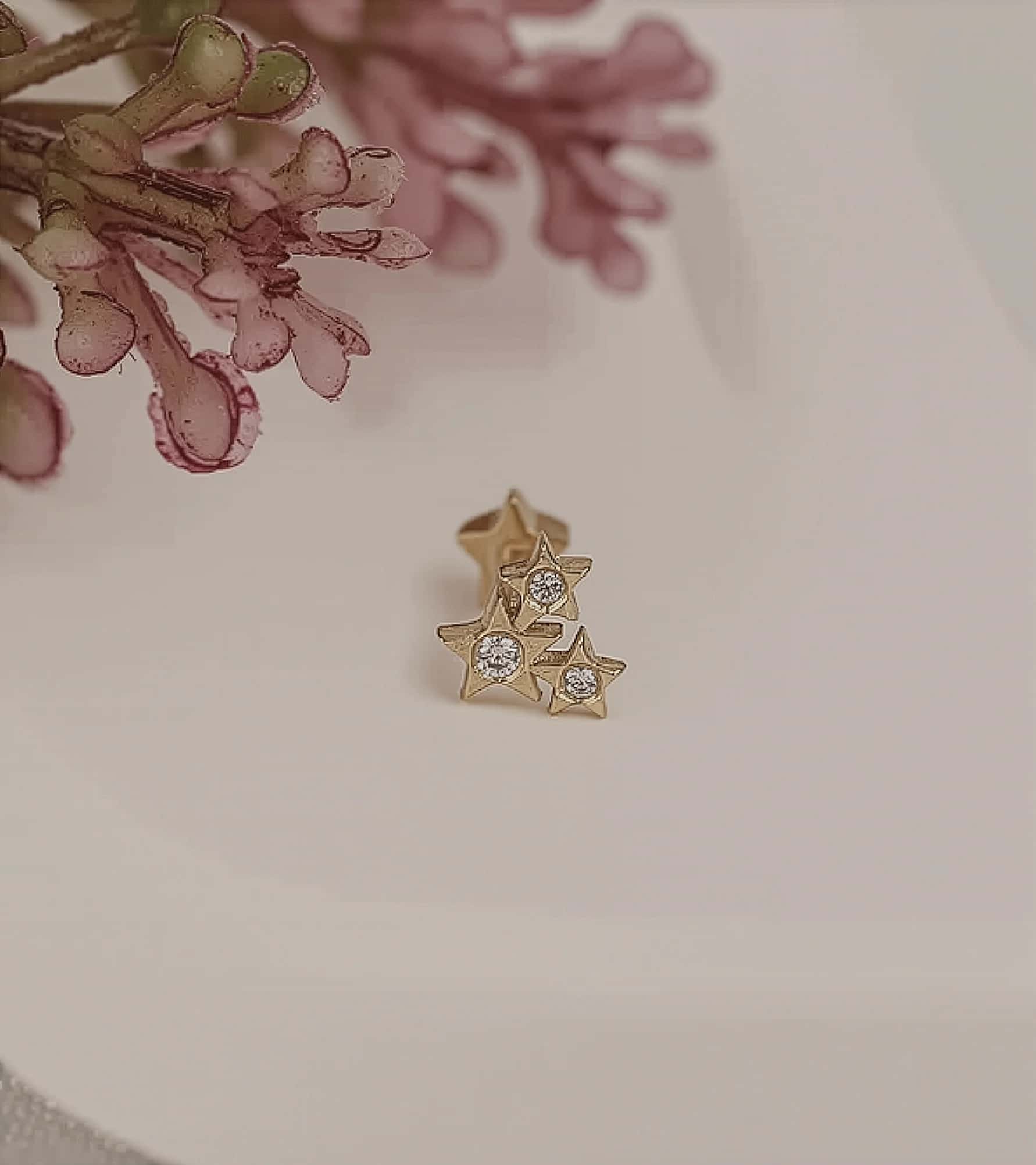 Üç Yıldız Piercing (Tragus) görseli 2