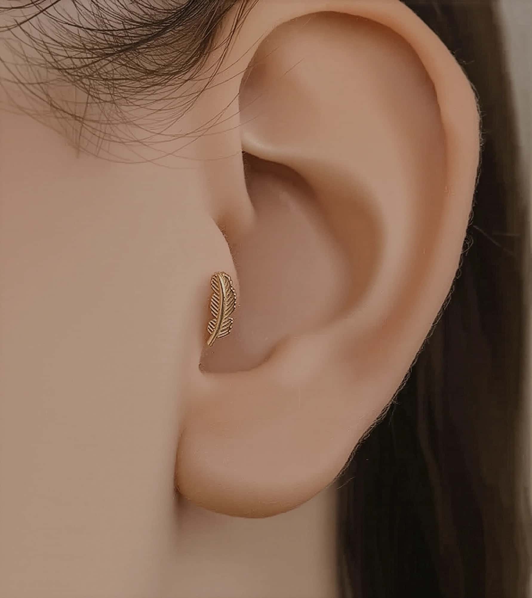 Kuş Tüyü Piercing (Tragus) görseli 1