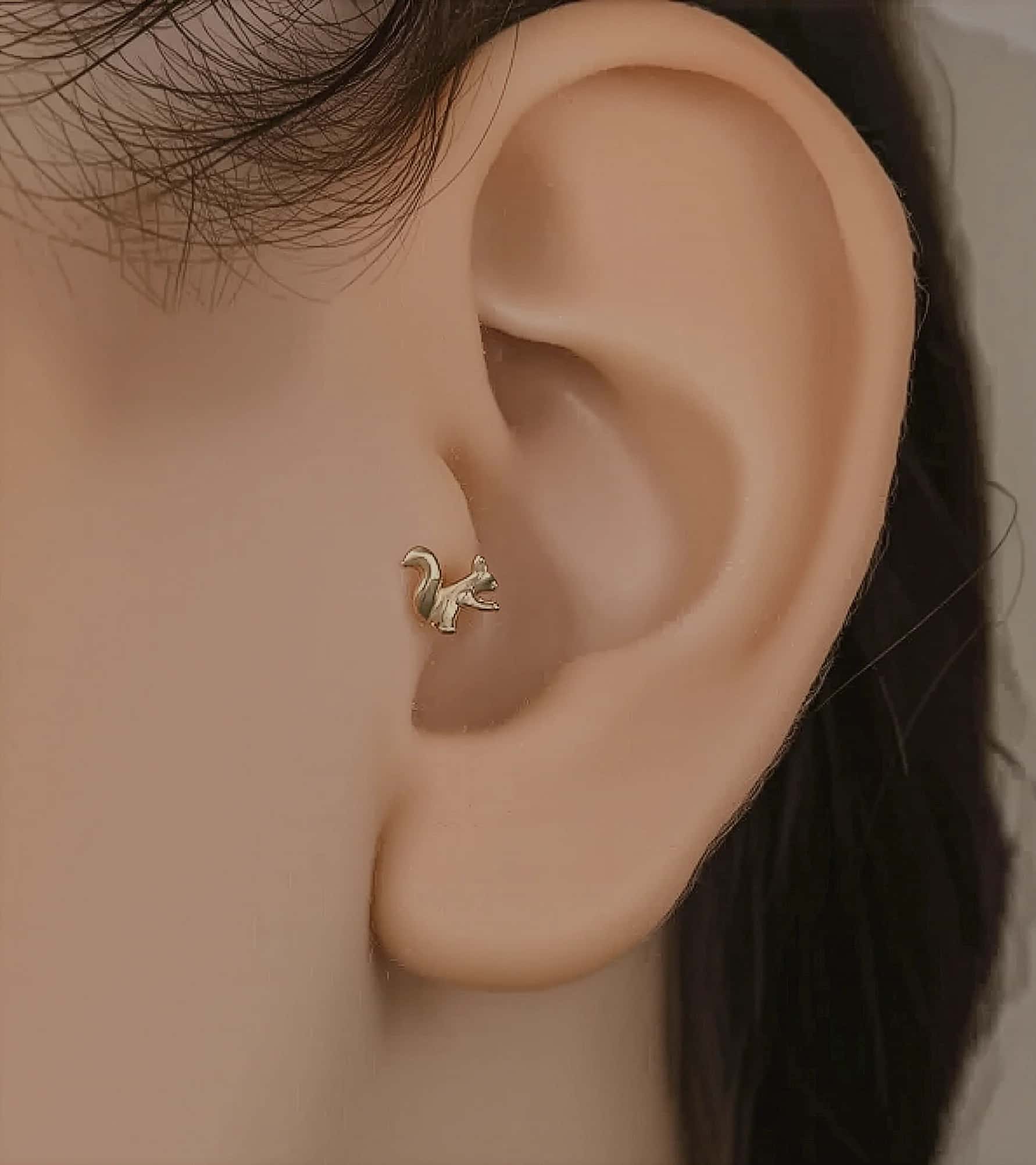 Sincap Piercing (Tragus) görseli 1