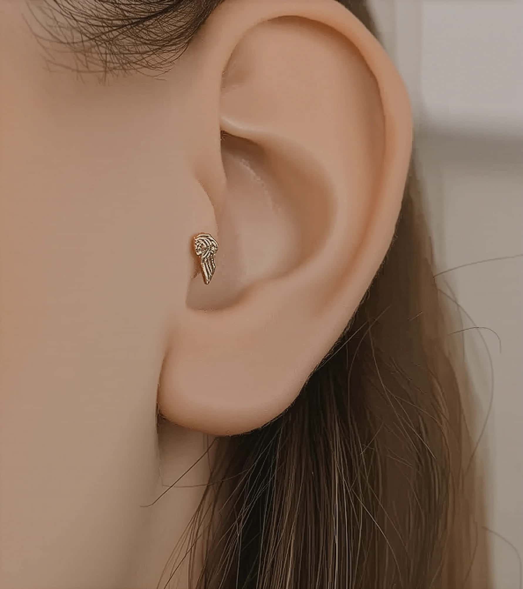 Aslan Yelesi Piercing (Tragus) görseli 1