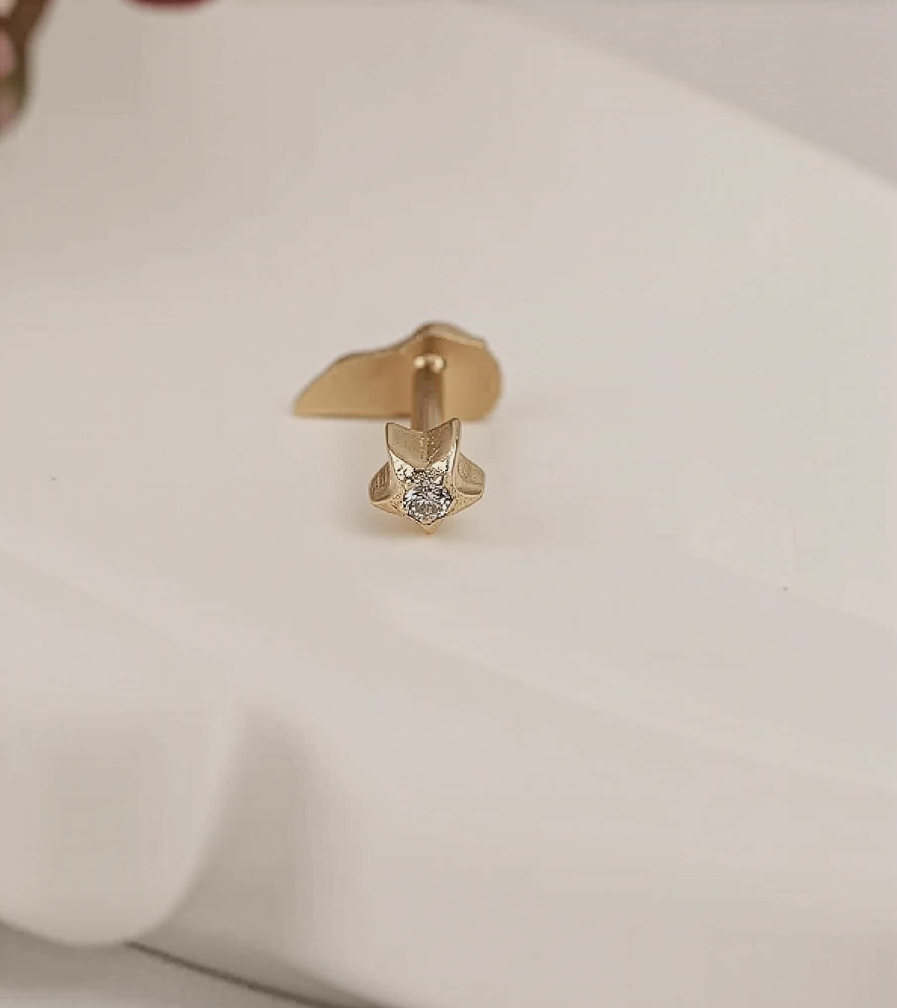 Aslan Yelesi Piercing (Tragus) görseli 3