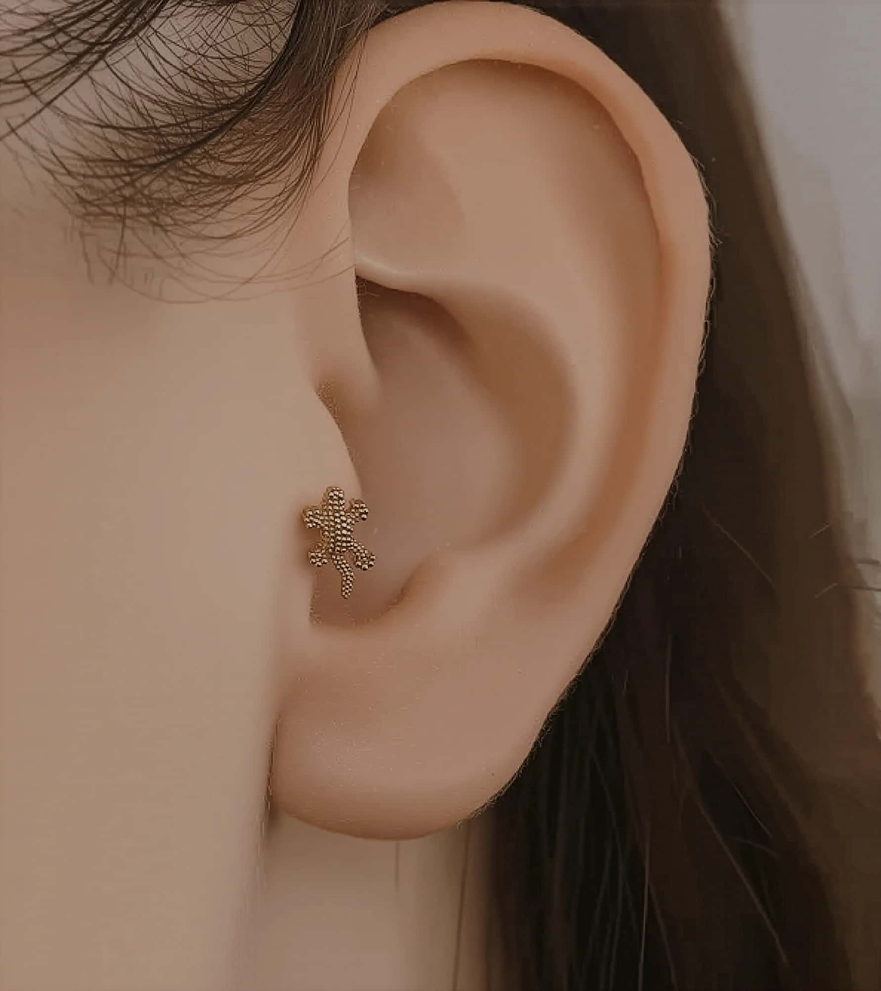 Lizzard Piercing (Tragus) görseli 1