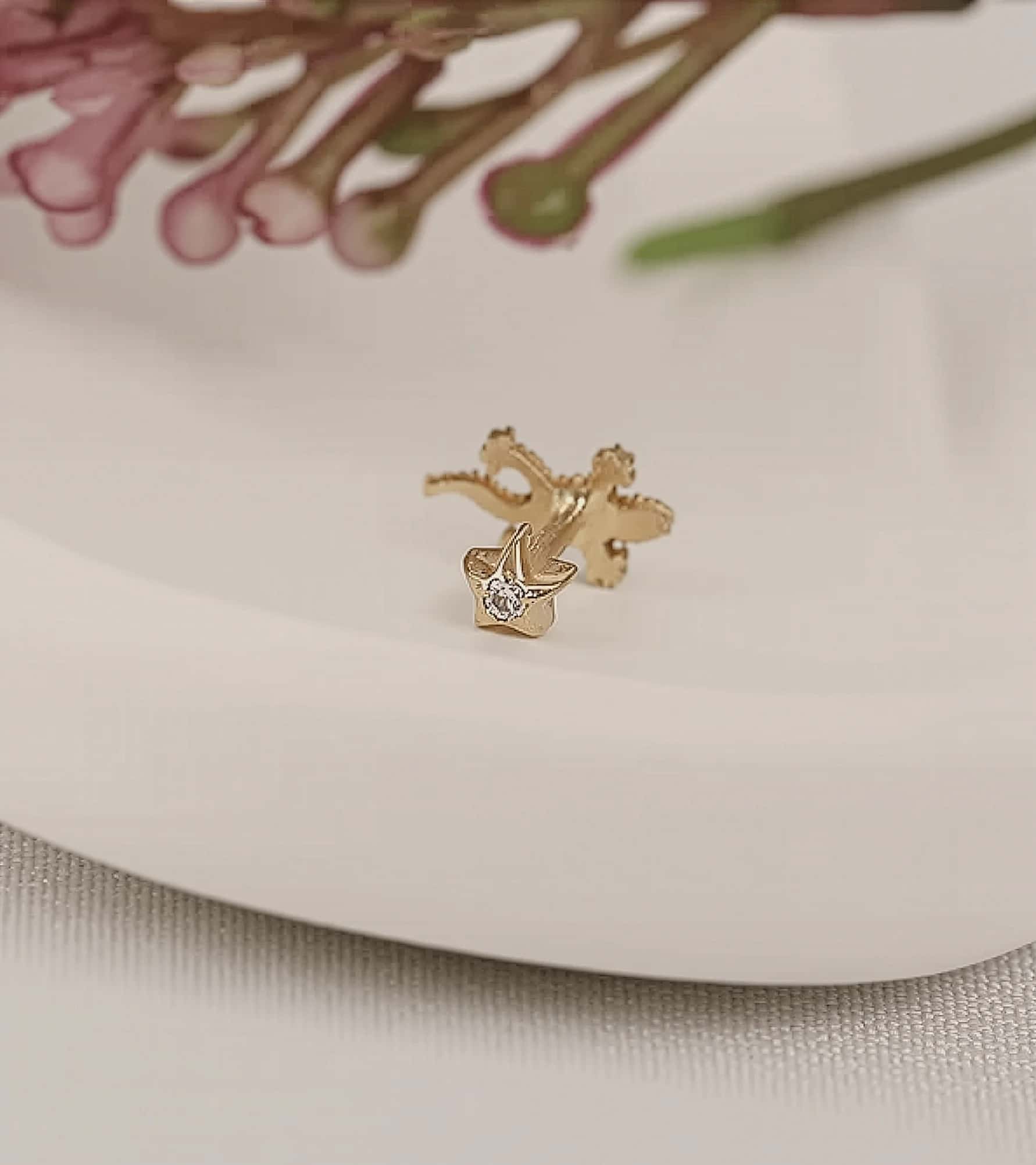 Lizzard Piercing (Tragus) görseli 3