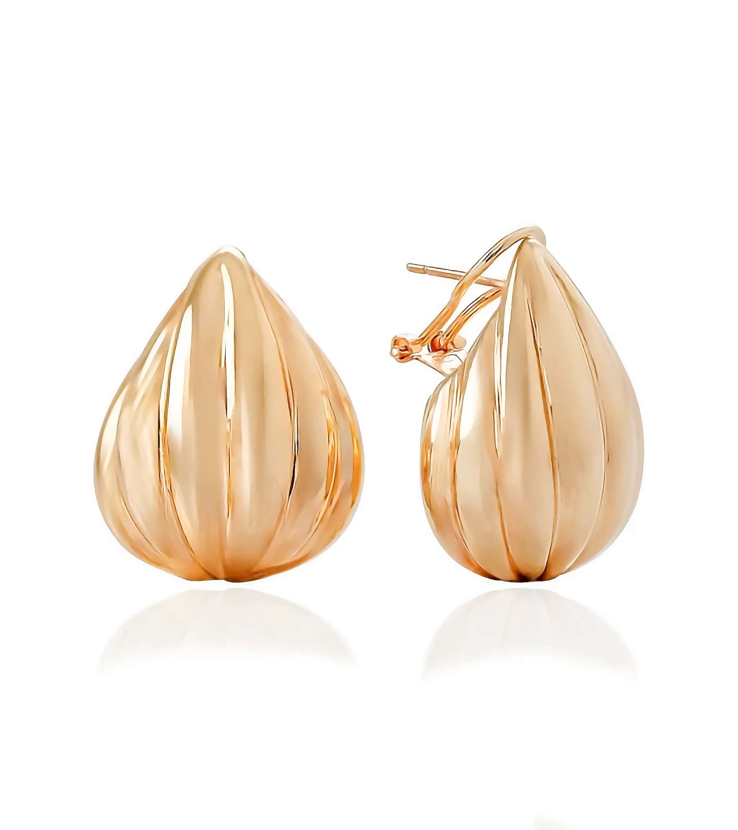 Seashell Küpe görseli 1