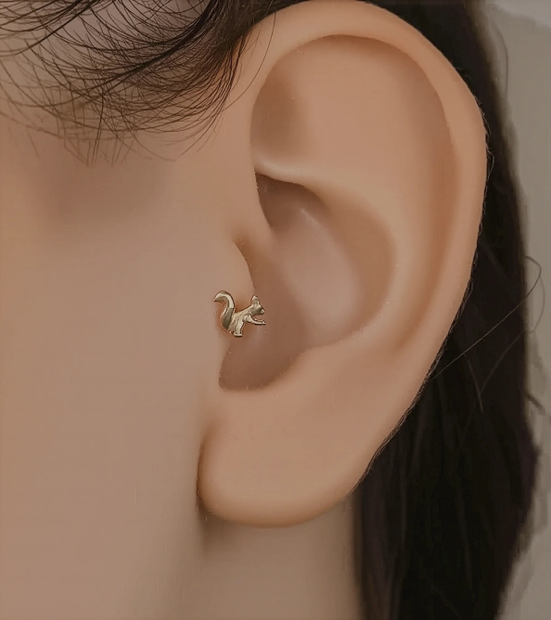 Sincap Piercing (Tragus) ürün görseli